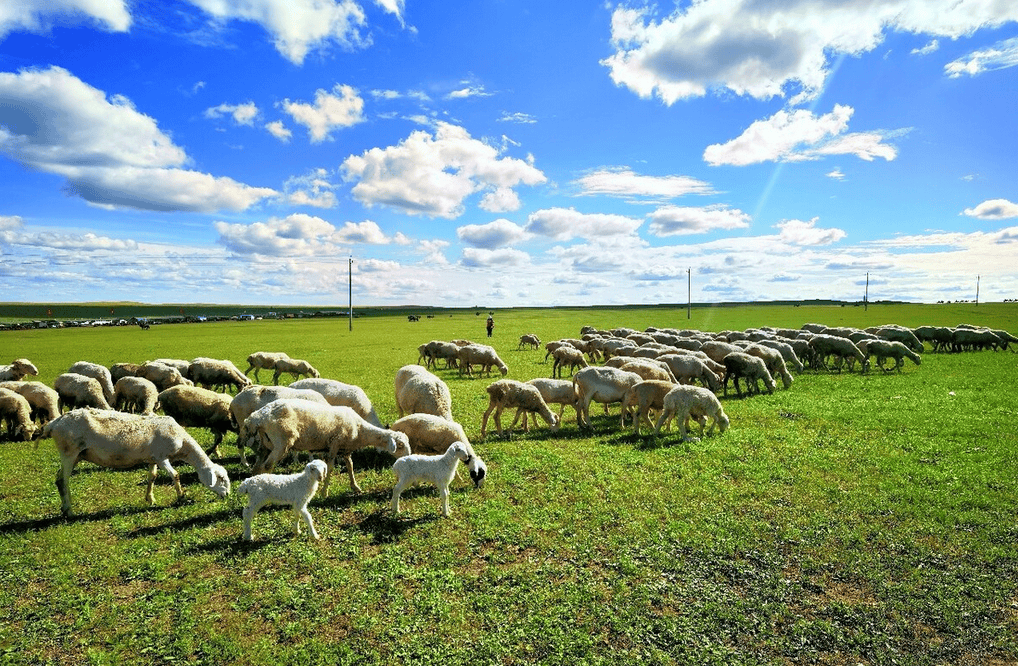 樂林丨讓每個人，樂享品質涮烤生活